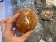 -TD66高山铁皮石斛养生茶饮