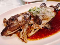 -北京西国贸大酒店