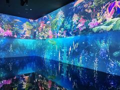 -中国湿地博物馆