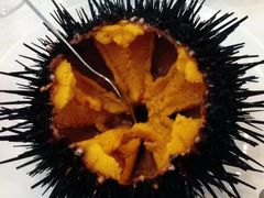 -万宝海鲜舫(劳动公园店)