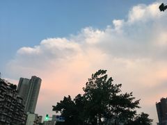 -张醪糟