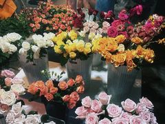 -循礼门鲜花花市(武汉循礼门店)