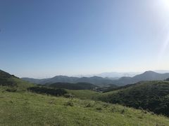-大姆山草场
