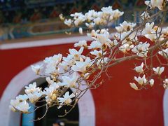 -北京艺术博物馆(万寿寺)