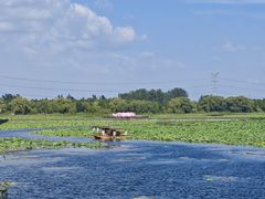 -焦岗湖旅游度假区