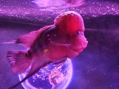 -正佳极地海洋世界