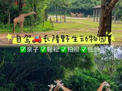 -广州长隆野生动物世界