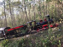 -合肥滨湖国家森林公园