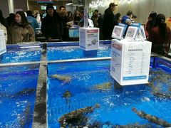 -盒马鲜生(财富中心店)