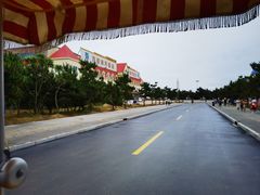 -日照海滨国家森林公园