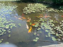 -白马涧龙池景区