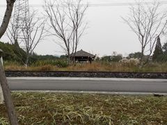 -长田漾湿地公园