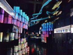 -同济大学四平路校区深海探索馆