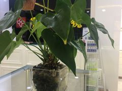 -宝岛眼镜(福州宝龙二店)