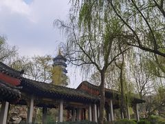 -重庆园博园