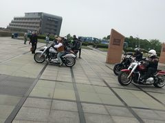 -南汇嘴观海公园