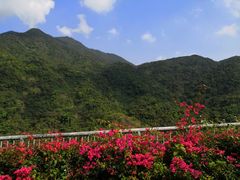 -梧桐山风景名胜区