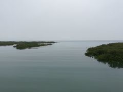 -北海金海湾红树林生态旅游区