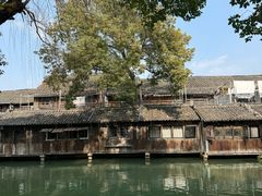 -乌镇东栅景区