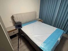 -Liteclear日本进口强效除甲醛检测治理(旗舰店)