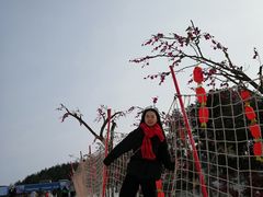 -广元曾家山国际滑雪场