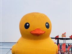 -天津东疆湾沙滩景区