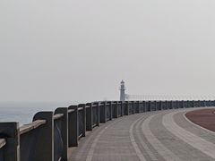 -星光岛