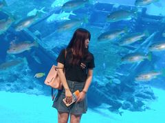 -新加坡海洋生态馆