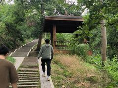 -青龙山国家森林公园
