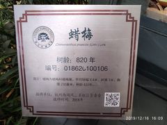 -十八棵（老龙井）御茶园(老龙井店)