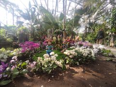 -国家植物园南园