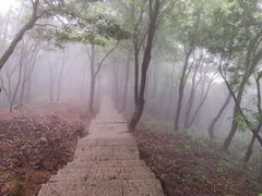 -梧桐山风景名胜区