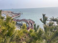-养马岛旅游度假区