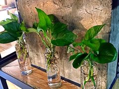 -开心草帽(文化西路店)