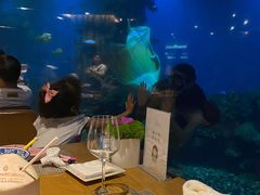 -海棠湾洲际-涛·海底餐厅·美人鱼·自助餐·海底隧道