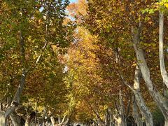 -汉长安城未央宫国家考古遗址公园