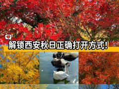 -莲湖公园