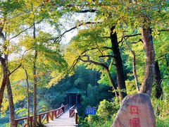 -广州溪头村