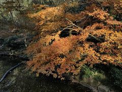 -杭州半山国家森林公园