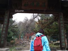-北京鹫峰国家森林公园