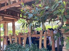 -Tangled Tree Tavern 老藤树食栈
