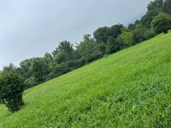-秦始皇帝陵博物院(兵马俑)