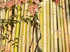 -观唐（国际）度假村温泉