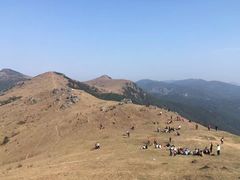 -大姆山草场