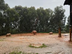 -云南野生动物园