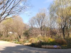 -西湖风景区-江洋畈生态公园