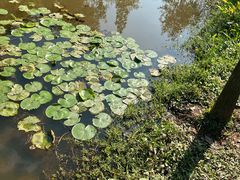-东莞植物园