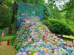 -上海共青森林公园