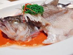 -悦海堂(金融街购物中心店)