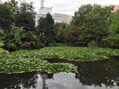 -北海道厅旧本厅舍(旧本庁舎)